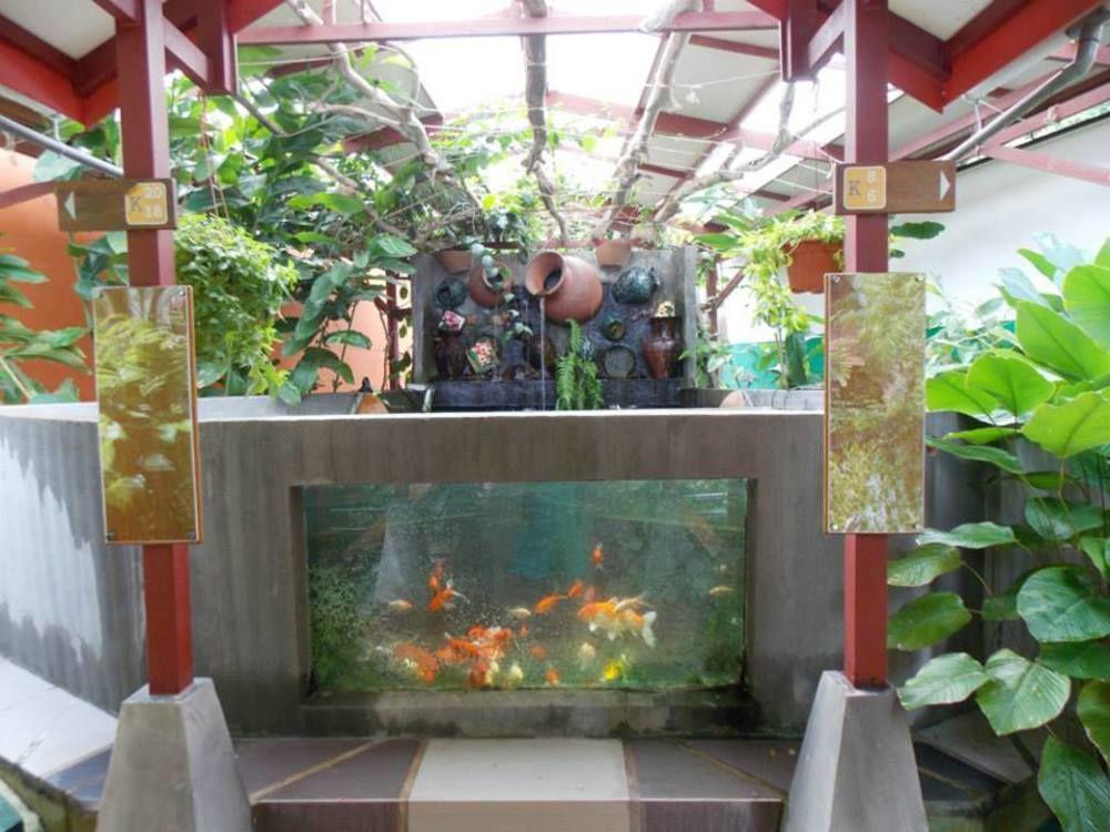 T Star Cottage Langkawi Pantai Cenang  Eksteriør billede