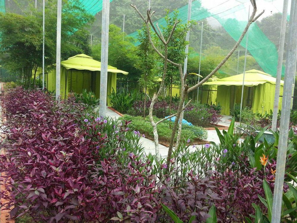 T Star Cottage Langkawi Pantai Cenang  Eksteriør billede