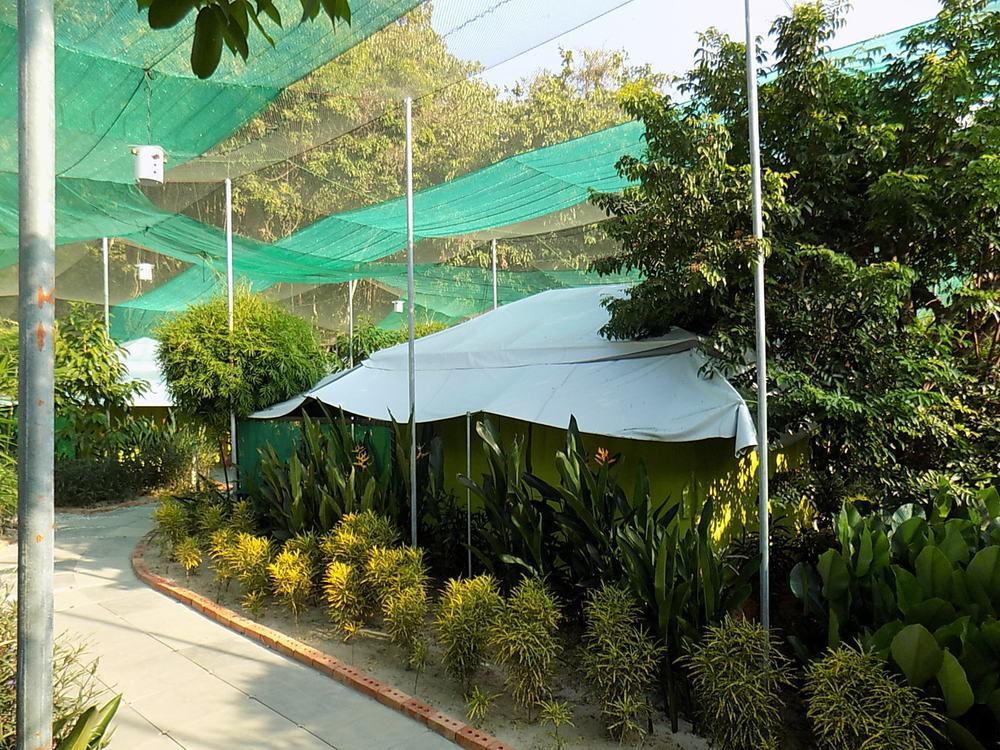 T Star Cottage Langkawi Pantai Cenang  Eksteriør billede