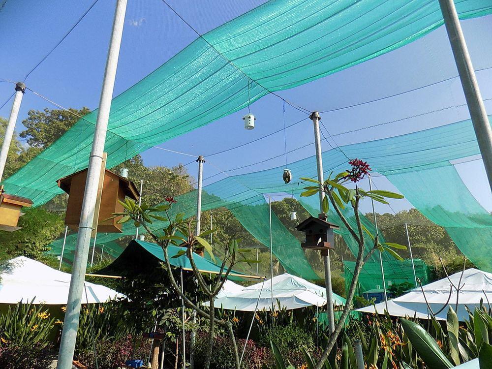 T Star Cottage Langkawi Pantai Cenang  Eksteriør billede