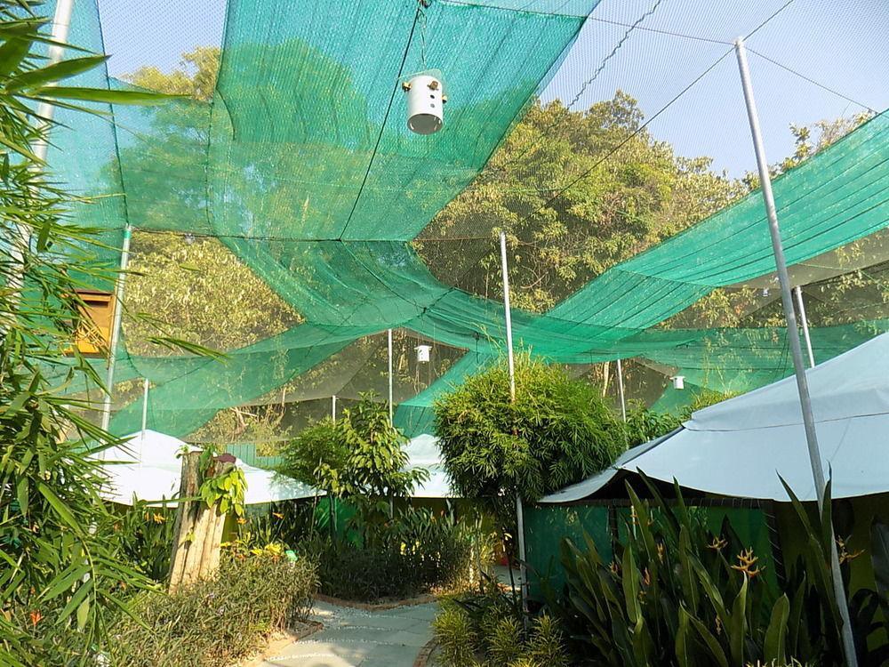 T Star Cottage Langkawi Pantai Cenang  Eksteriør billede
