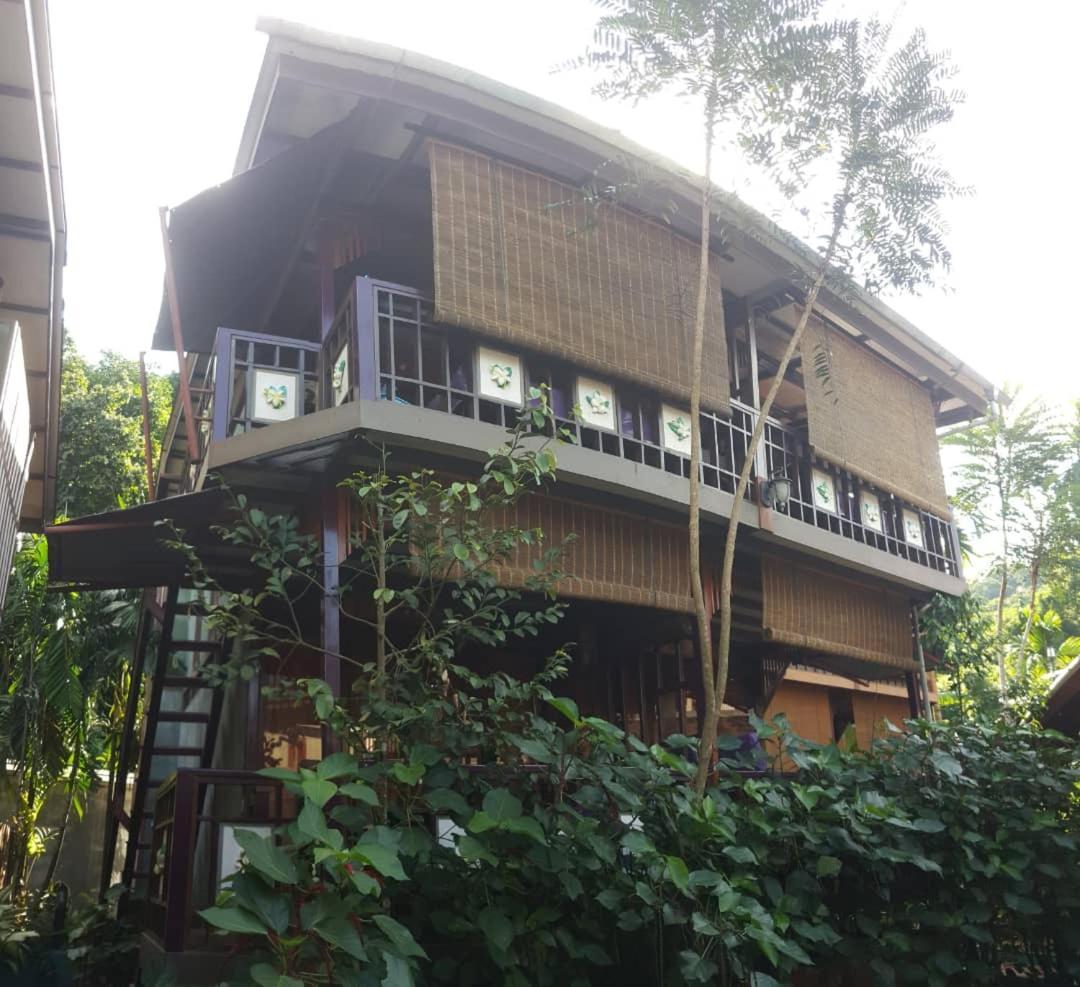 T Star Cottage Langkawi Pantai Cenang  Eksteriør billede