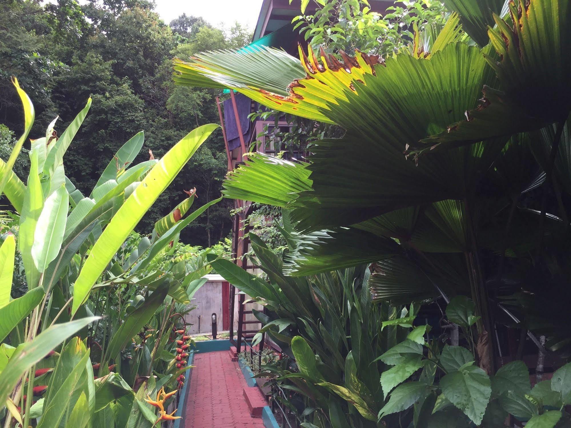 T Star Cottage Langkawi Pantai Cenang  Eksteriør billede